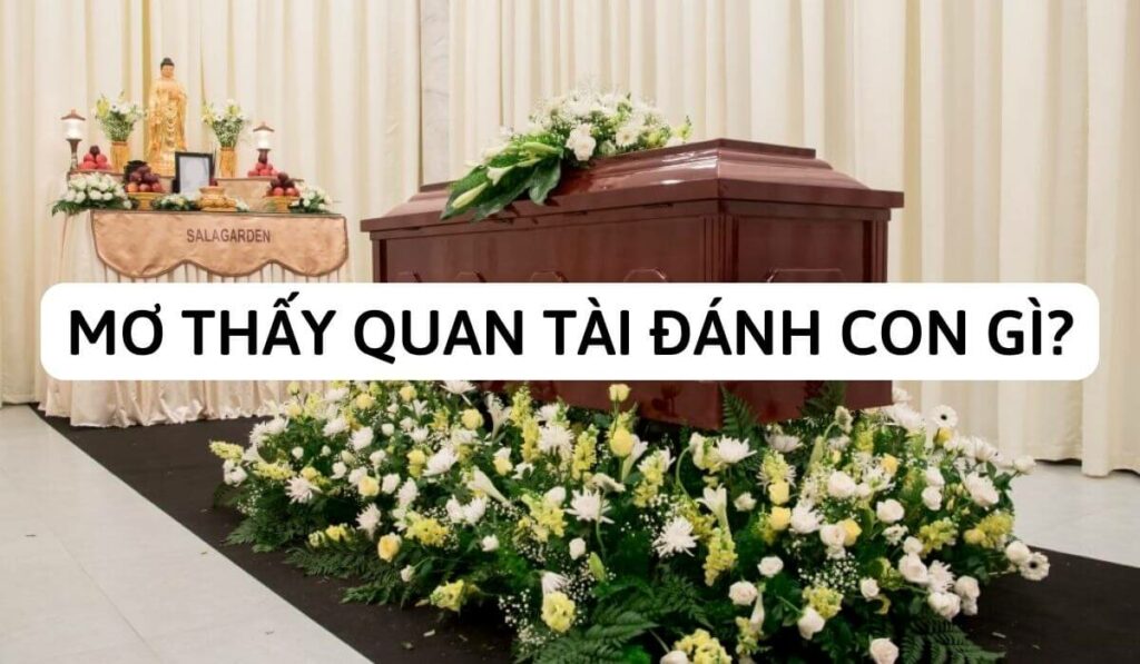 mơ thấy quan tài đánh con gì