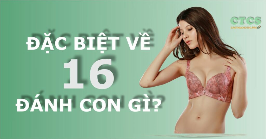 Đặc biệt về 16 hôm sau đánh con gì? Ý nghĩa số 16